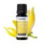 صورة Ylang-Ylang Oil - B2B